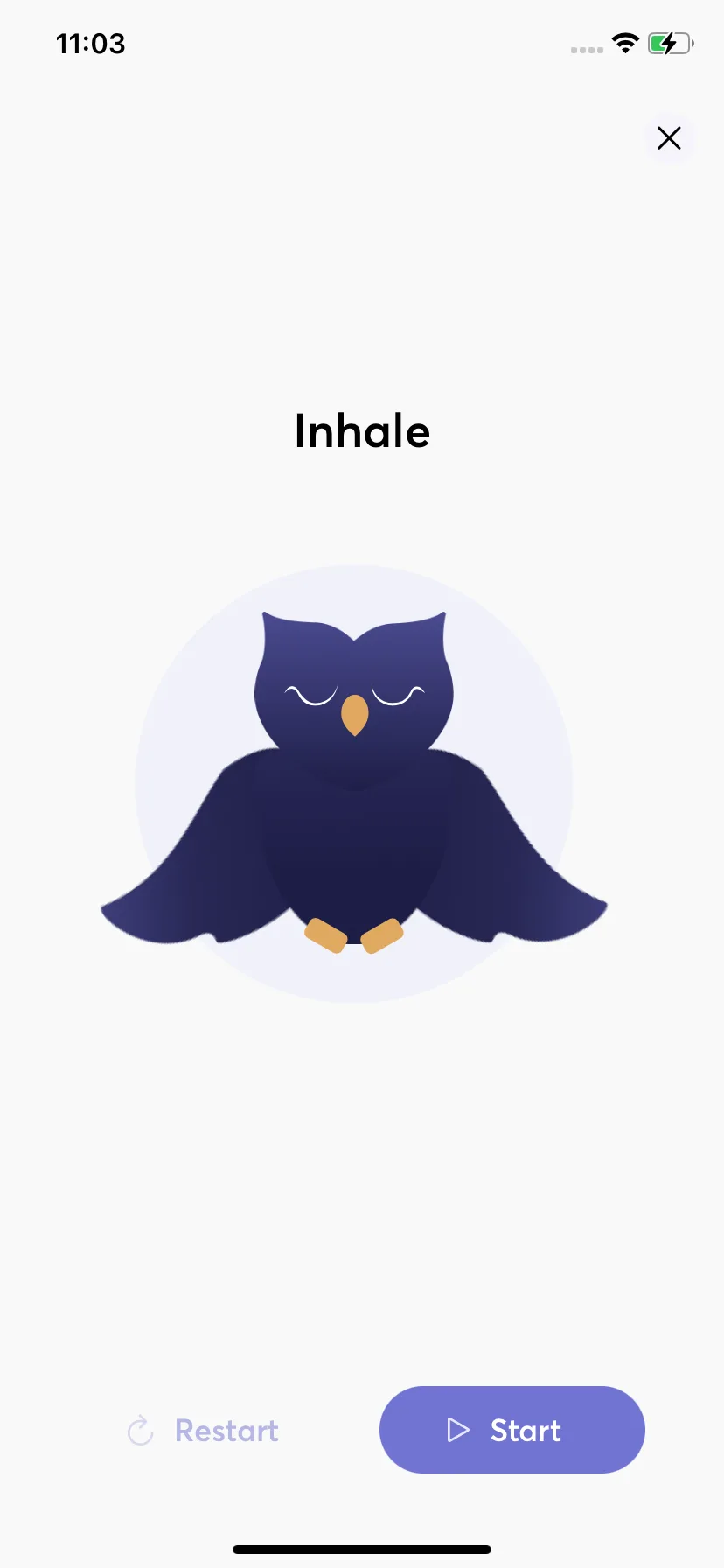 Test Image 10